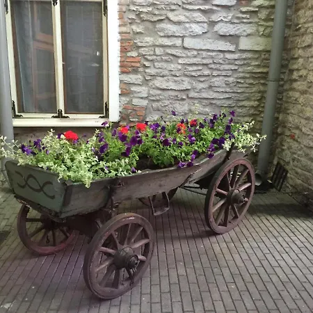 Hotel St.olav Tallinn