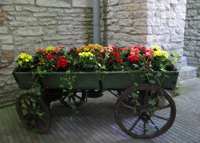 セント オラフ 4*