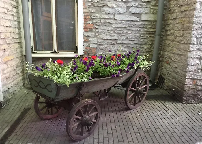 מלון St.olav טאלין