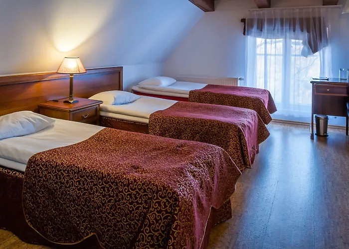 セント オラフ タリン